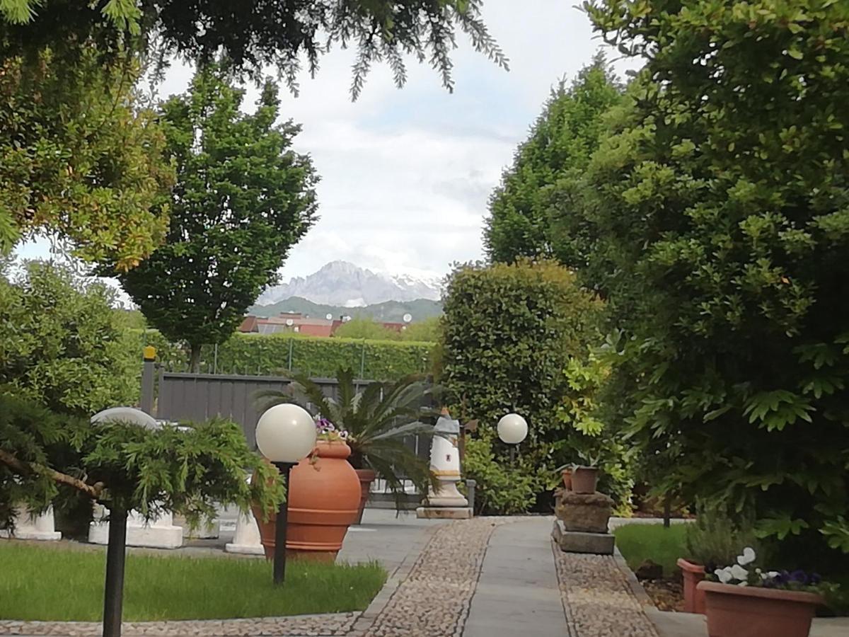 B&B Villa Terry Medolago Esterno foto