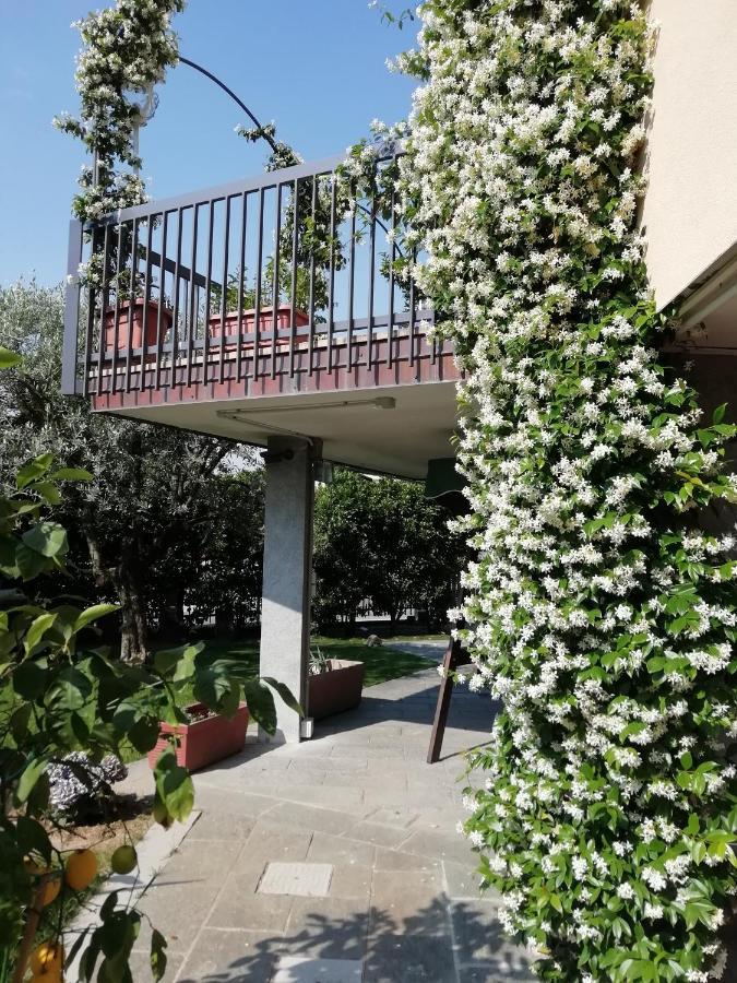 B&B Villa Terry Medolago Esterno foto