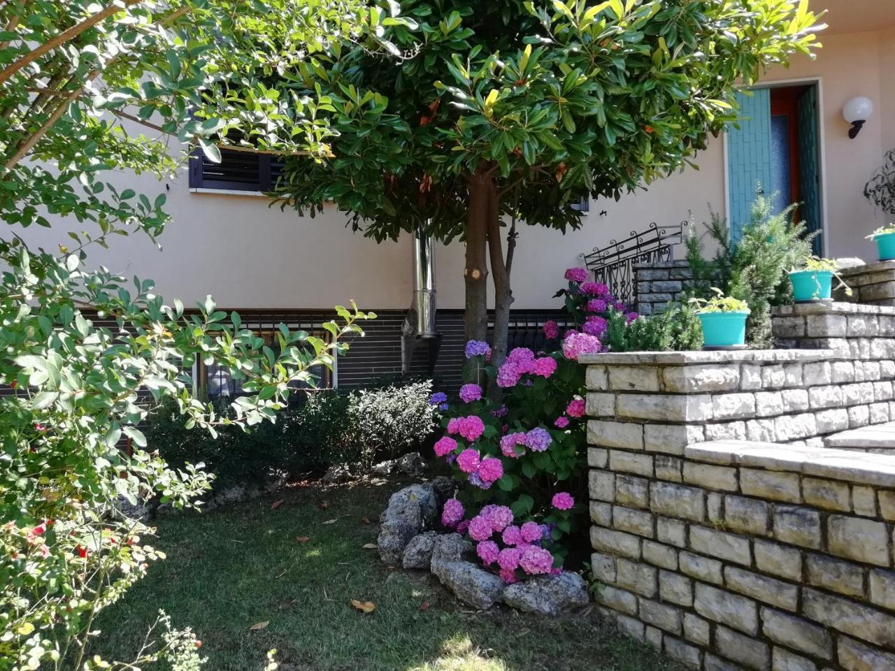 B&B Villa Terry Medolago Esterno foto